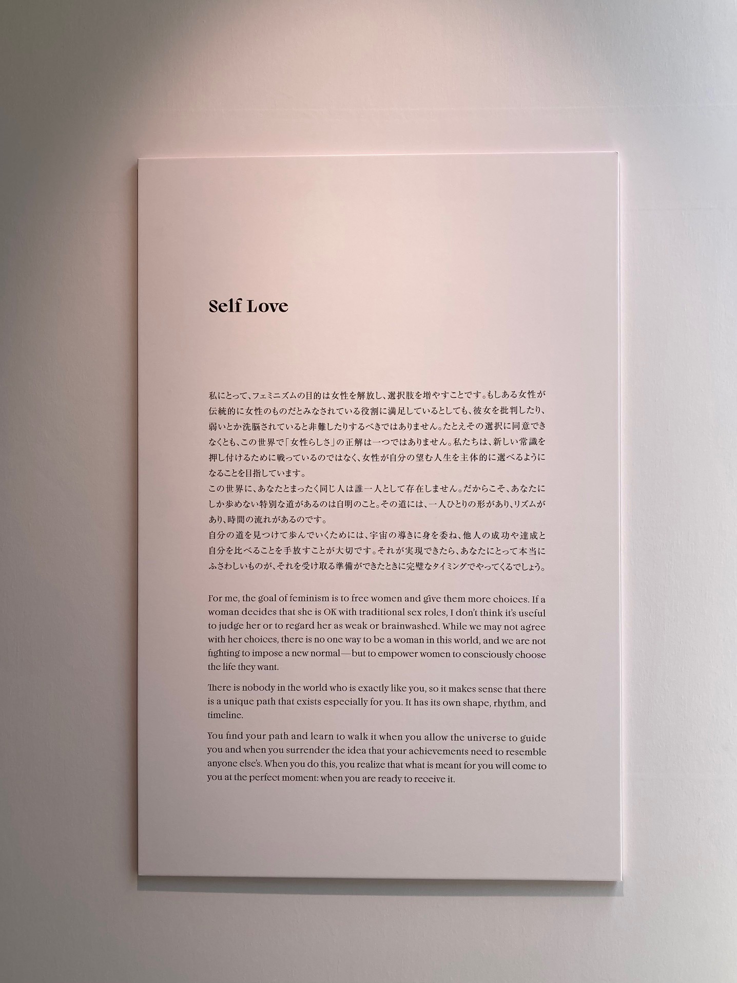 レティシア・キイ（Laetitia Ky）の展示にあったキャプションのは画像